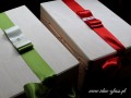IMG_4563a.jpg